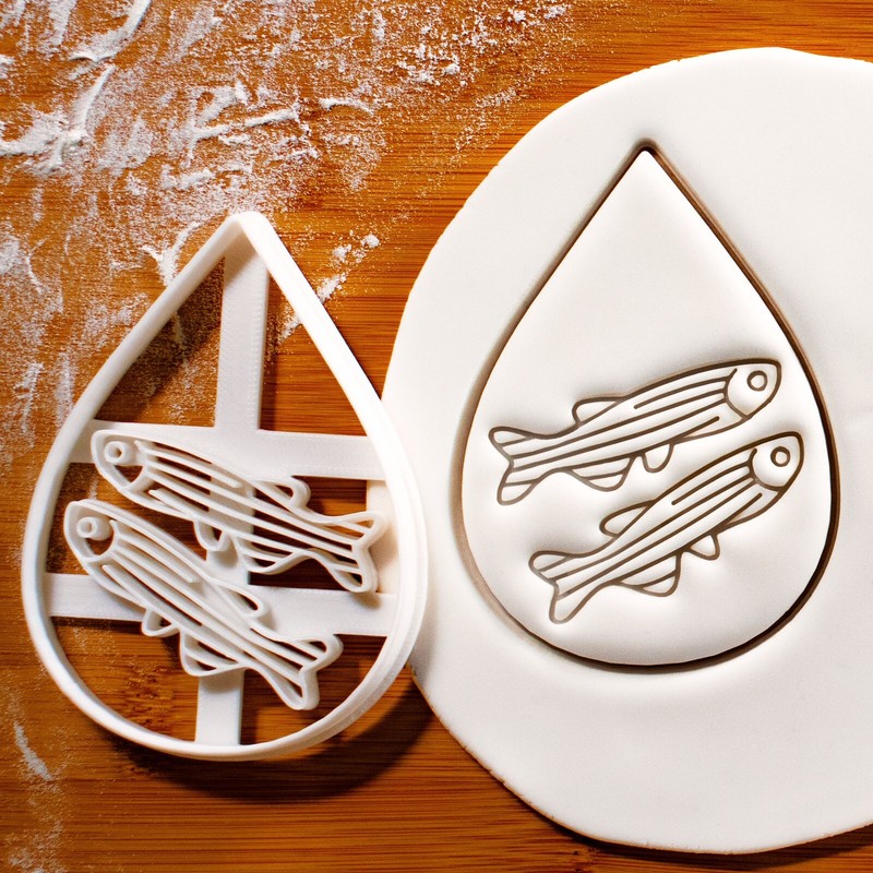 Zebrafish Cookie Cutter – laboratory scientist, biomedical researcher, genome