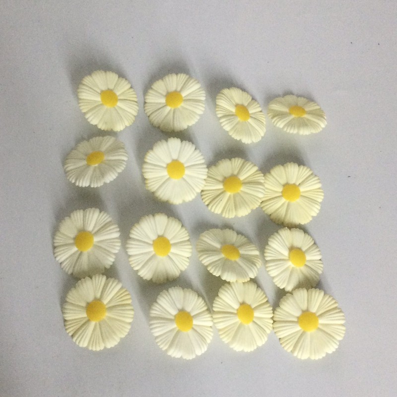 Lot Cake Decorating Wilton Daisy 11 Flowers 12 Yw Inserts 3 Separators 503-1292 gallery