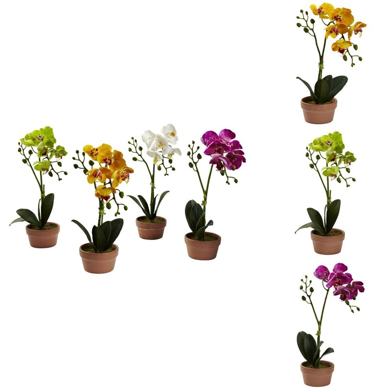 Nearly Natural Phalaenopsis Orchid Clay Vase Set Of 4 4991-S4