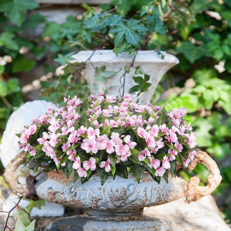 Faicoia 8 Pcs Artificial Impatiens Flowers For Outdoors Faux Impatiens Bushes gallery