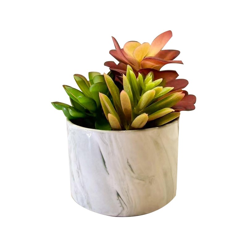 Karlliu Artificial Plants Cute Colourful Succulents in 4x4 inch, Colorful gallery