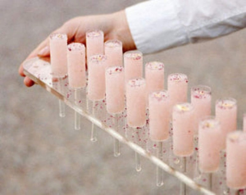 Push Pop Serving Stand gallery