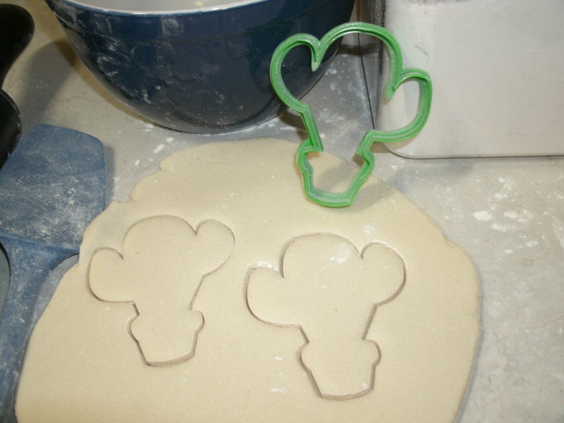 3 CACTI CACTUS DESERT LANDSCAPING DROUGHT TOLERANT PLANT COOKIE CUTTER PR1016 gallery