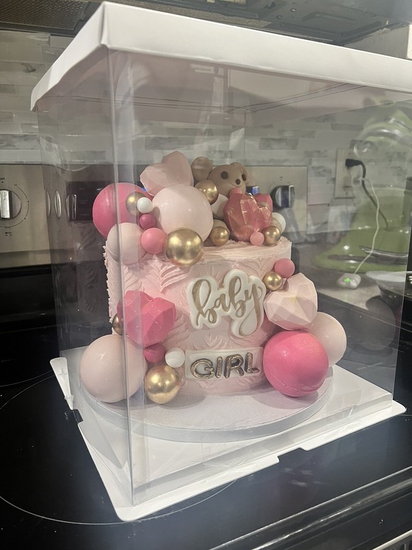 10x10x7 1 Plastic cake box gallery