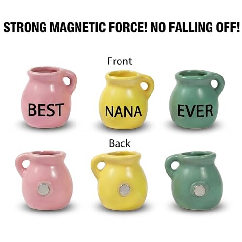 Nana Gifts - Mini Vase Magnets for Fridge, Best Nana Ever 3-Piece Ceramic gallery