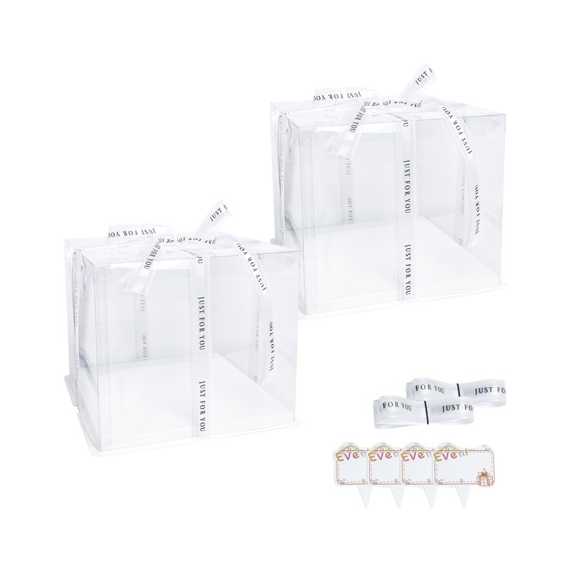 2 PCS 6.5 Inch Square Cake Boxes 20ft Satin Ribbon Plastic Containers BPAFree