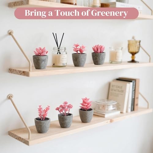 6PCS Succulents Plants Artificial, Small Fake Plants in Pots for Pink gallery