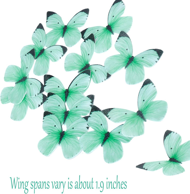 Butterflies for Cake Decorating Small Pastel Colorful Butterfly Cake Green gallery
