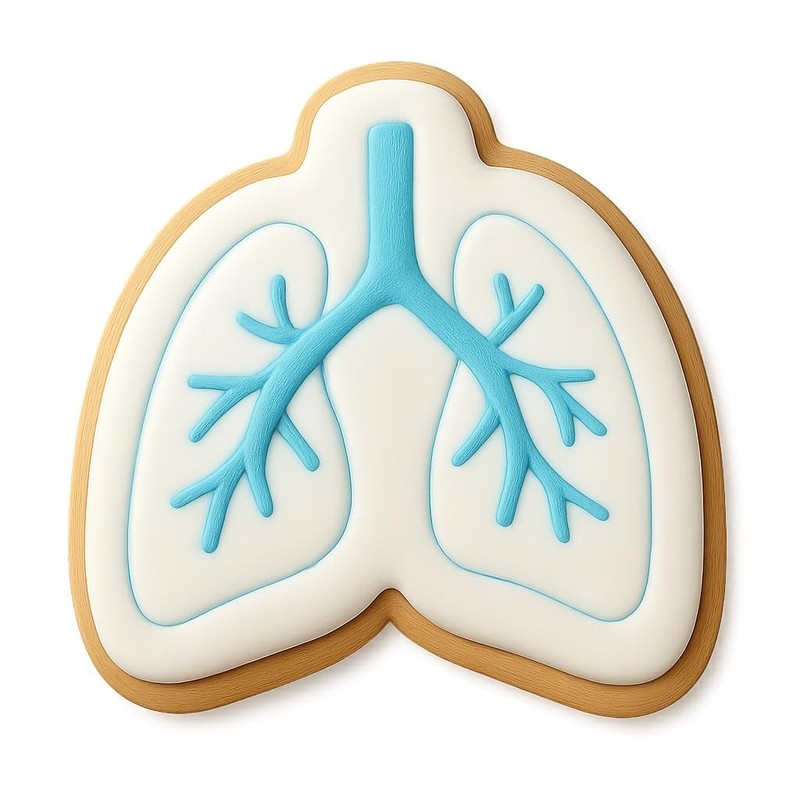 Lungs with Bronchi Cookie Cutter & Stamp 4x3.2" Fun Medical Baking Tool gallery