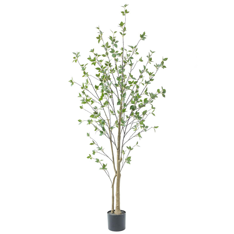 Bellacat 6Ft Artificial Minimalist Citrus Tree Lifelike Leaves 72In Faux Citrus