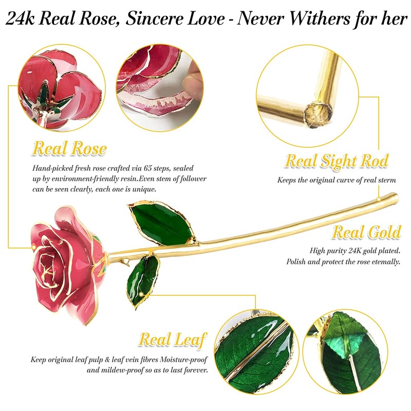 Yolife Gold Dipped Rose 24k Real 7.87 x x 13.87 inches, Pink gallery