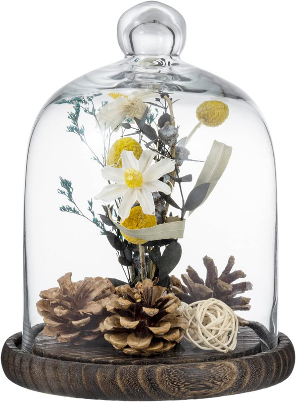 Campana de cristal transparente de 9 pulgadas con asa superior y diseno rustico
