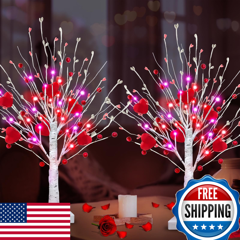 Turnmeon Valentines Day Decorations Prelit Timer 2Pack Lighted Birches