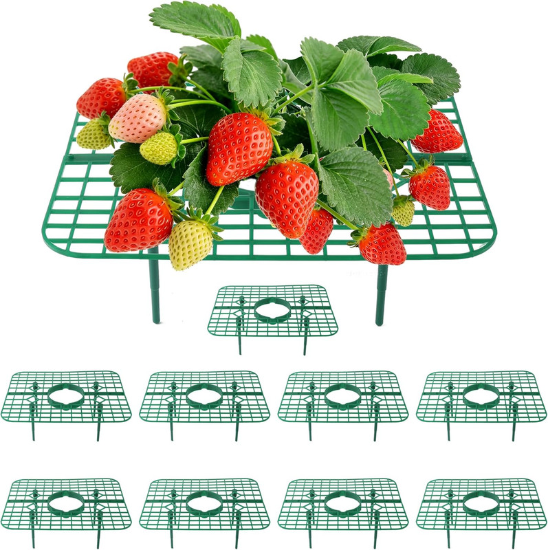 Strawberry Plant Supports, 10 Pack Square Frames Keep Strawberries off Ground, R