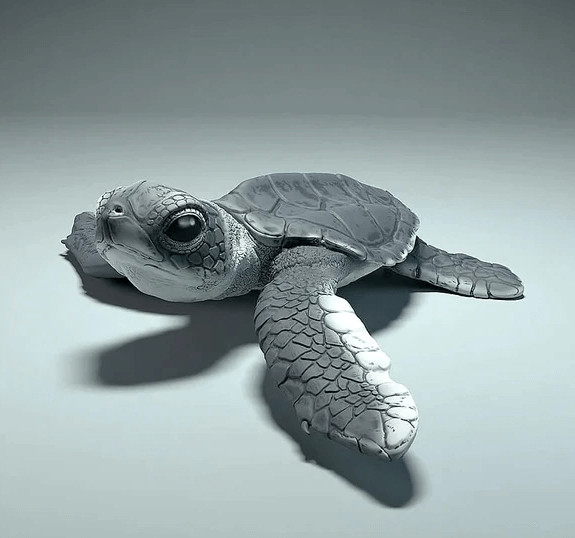 baby sea turtle resin silicone mold