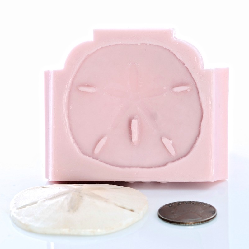 Sand Dollar Seashell Silicone Mold Candy Chocolate Mint Resin Polymer Clay (839) gallery