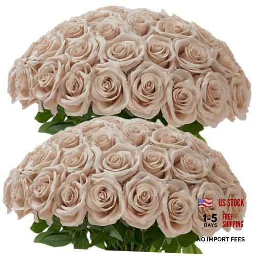 Pcs Nude Roses Artificial Flowers Artificial Silk Roses Bulk,Fake 50 50pcs Nude