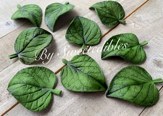 Gumpaste Tropical Leaves Fondant