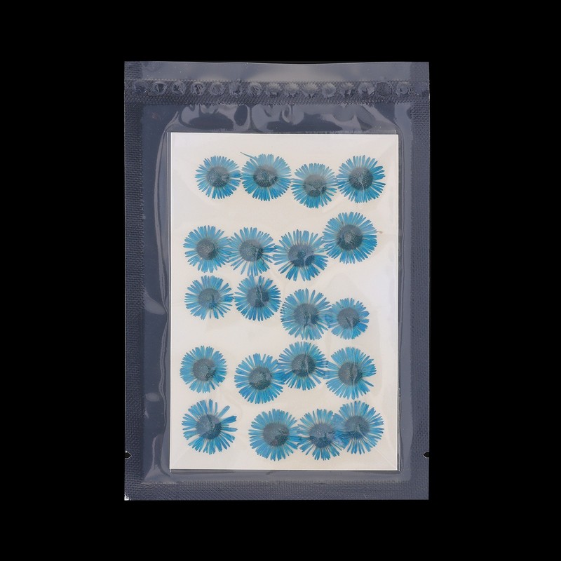 60 Pcs Dried Pressed Flower for Resin DIY Decors Blue gallery