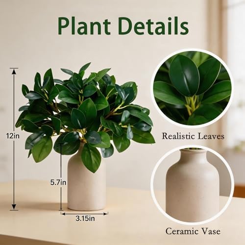 12 Inch Artificial Plant Indoor,Small Fake Plants Eucalyptus Stems Cream White gallery