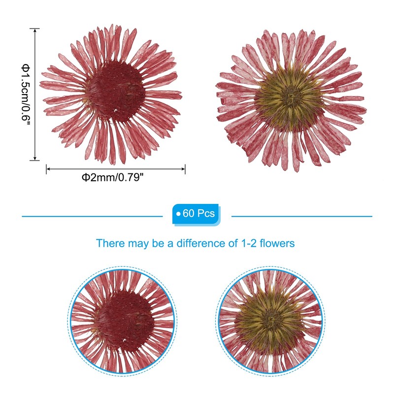 60 Pcs Dried Pressed Flower for Resin DIY Crafts Decors Red gallery