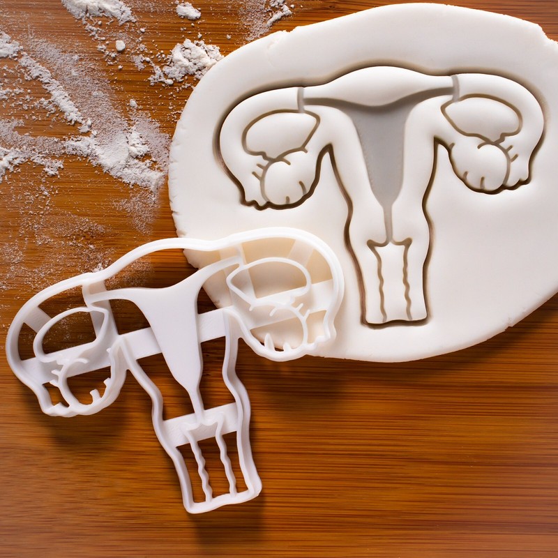 Uterus Cookie Cutter – obstetrics gynecology reproductive organ fertility cervix