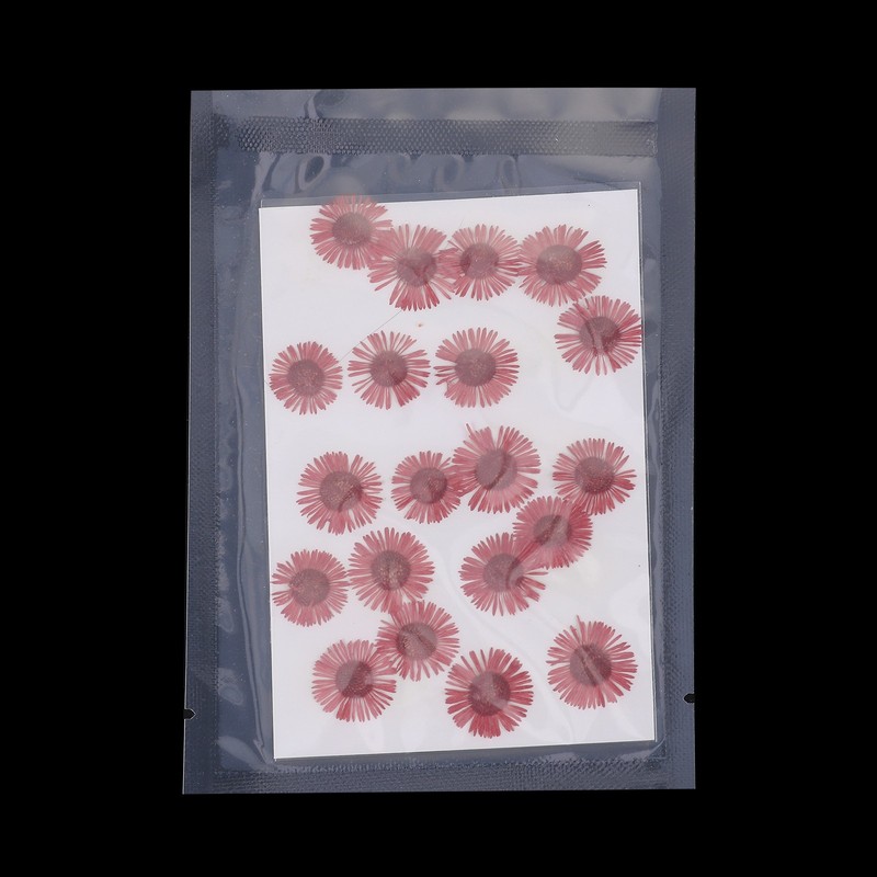 60 Pcs Dried Pressed Flower for Resin DIY Crafts Decors Red gallery