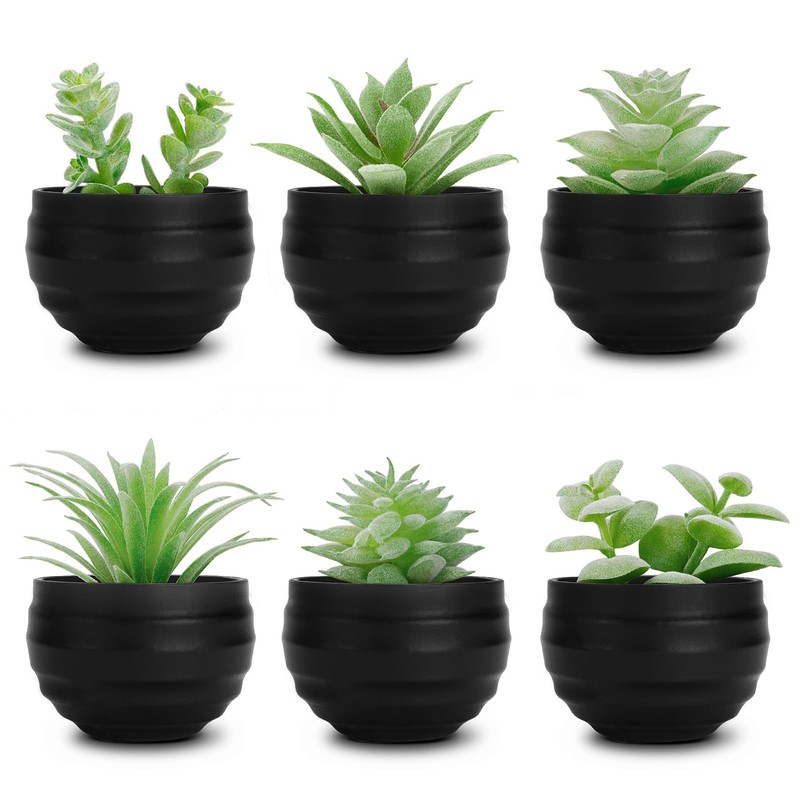 Der Rose 6 Pack Fake Succulents Plants in Black Pots 3.14″H × 2.3″W,
