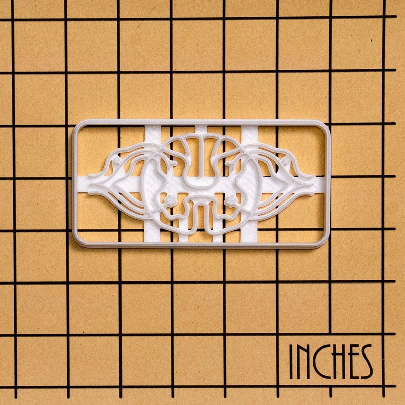 Spinal Neuro Path Cookie Cutter - biology science medicine neuroscience CNS phd gallery