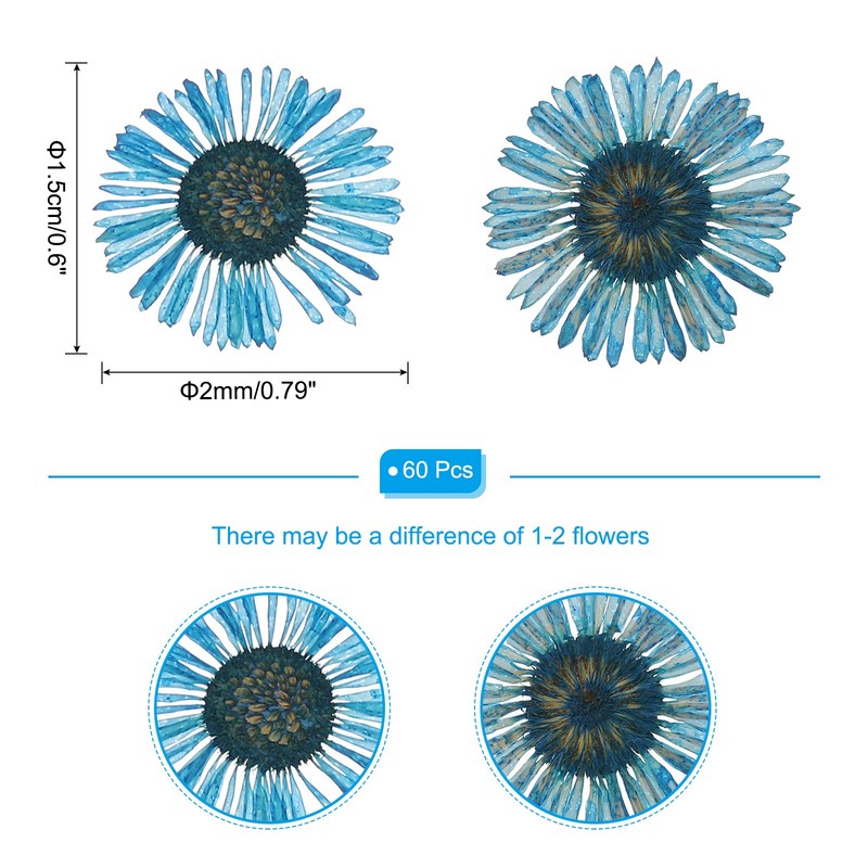 60 Pcs Dried Pressed Flower for Resin DIY Decors Blue gallery