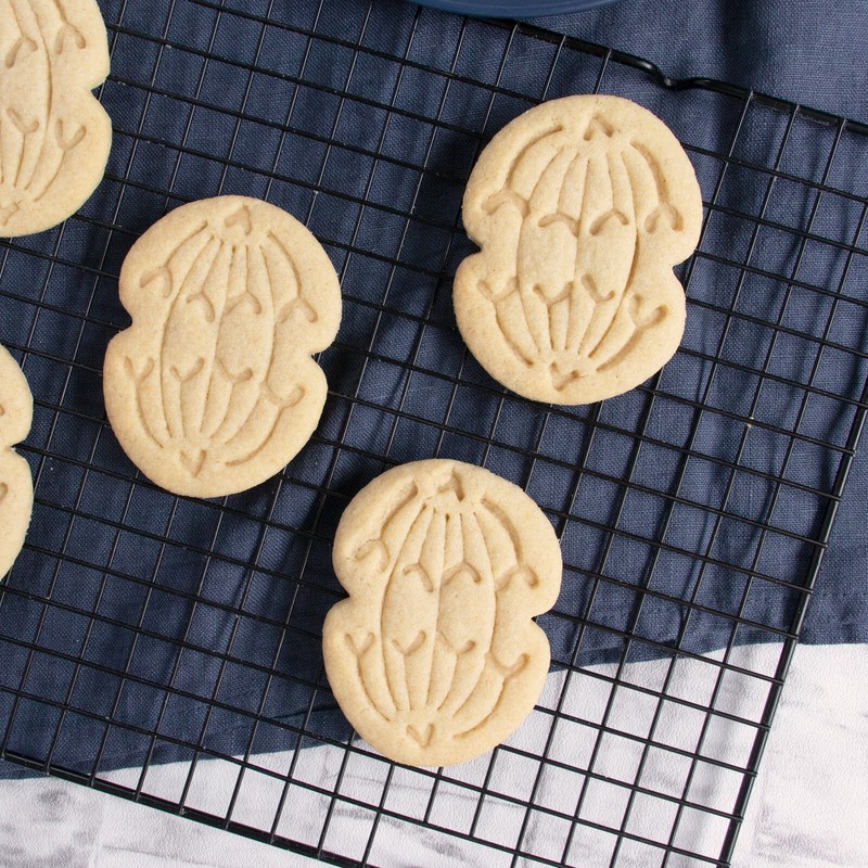 Anaphase Mitosis Cookie Cutter - mitotic microbiology laboratory science cell gallery