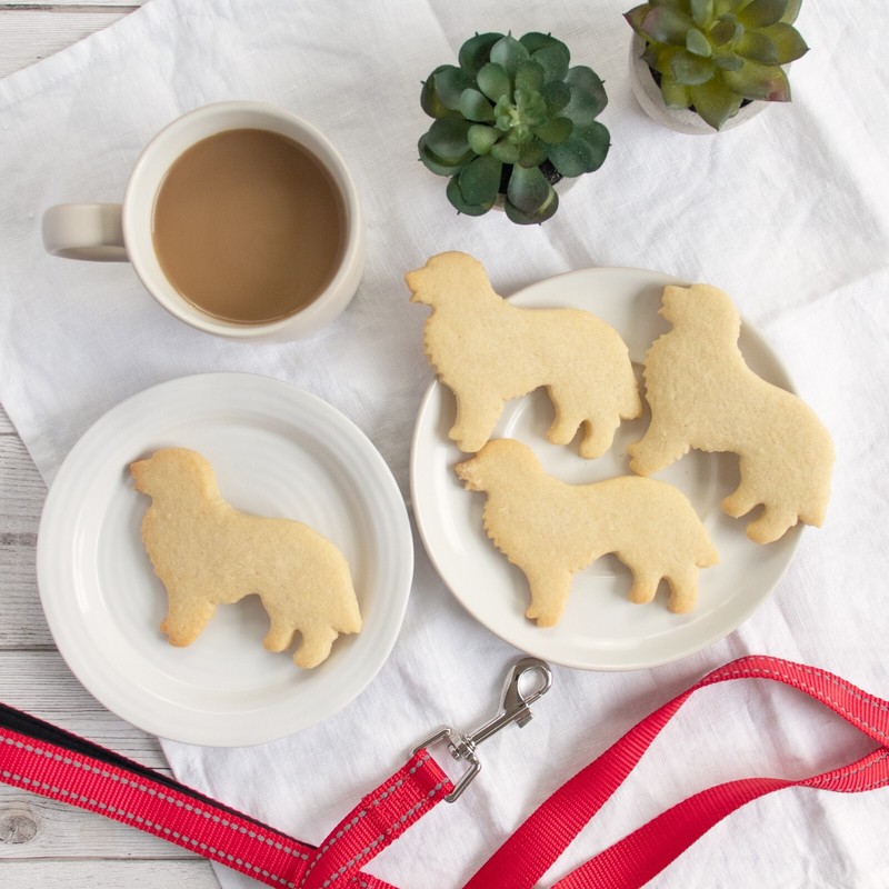 Bernese Mountain Dog Body Cookie Cutter - portrait dog treats Sennenhund party gallery