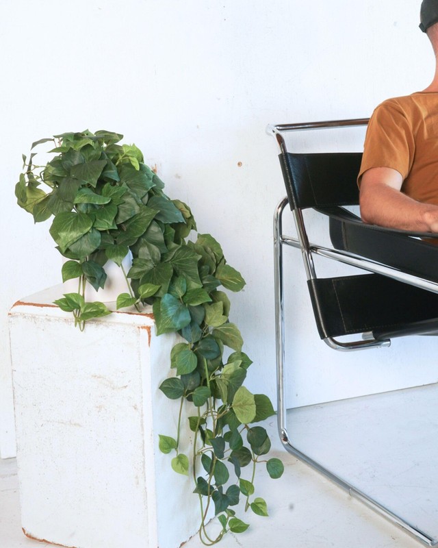 Retrograde 32" Realistic Fake Pothos Ivy Plant Silk Artificial Plant for Aesthet gallery