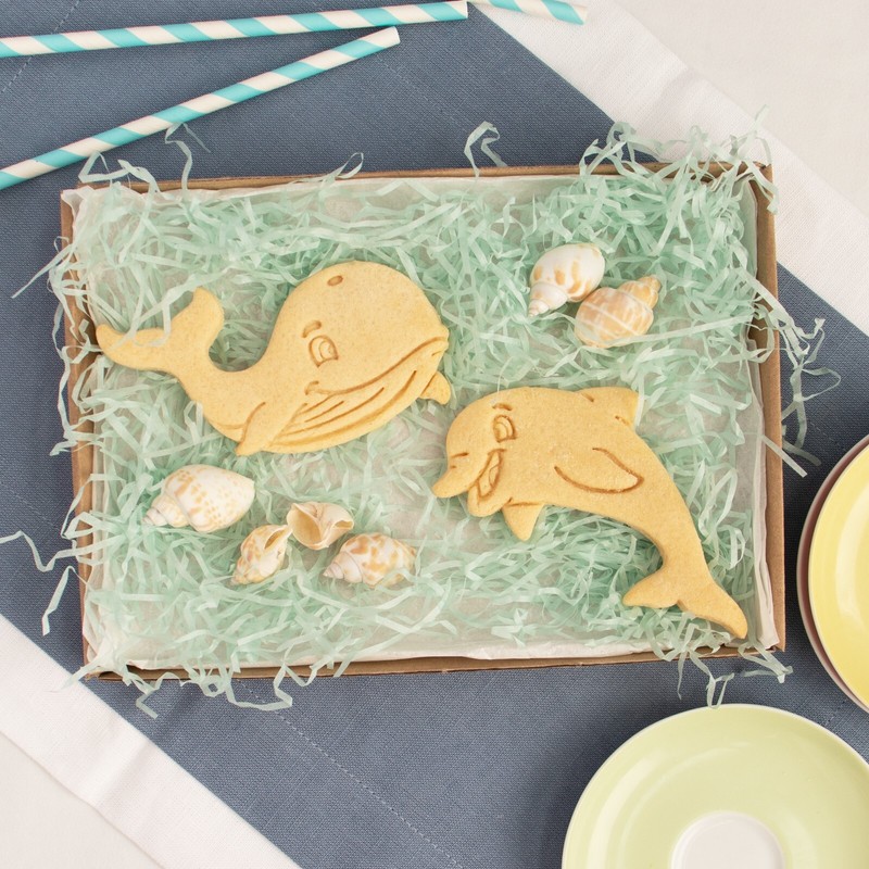 Set of 4 Cute Dolphin, Whale, Shark, Octopus Cookie Cutters - nautical ocean gallery