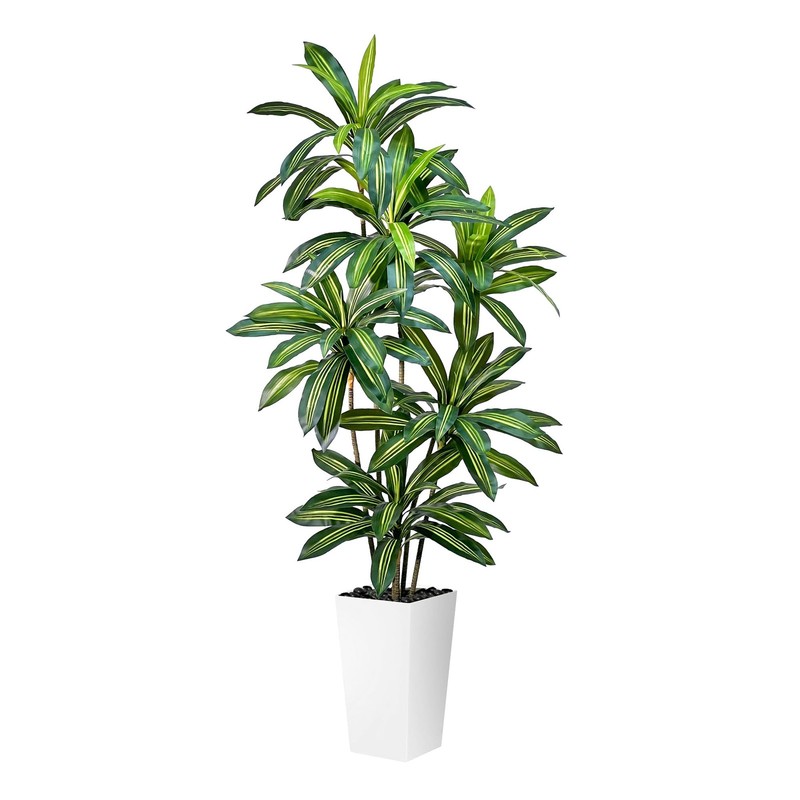 Miragebotanics Artificial Dracaena Tree 7Ft Tall Fake Plant Whiteplanter –