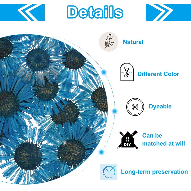 60 Pcs Dried Pressed Flower for Resin DIY Decors Blue gallery