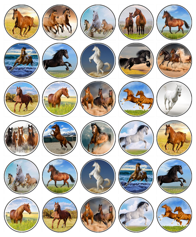 Horse Cupcake Toppers – Edible Wafer Horse Mix Cake Decorations – 2 Sizes