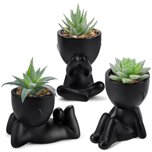 3pcs Fake Succulents Plants Artificial for Black Bathroom Bedroom Home Room gallery