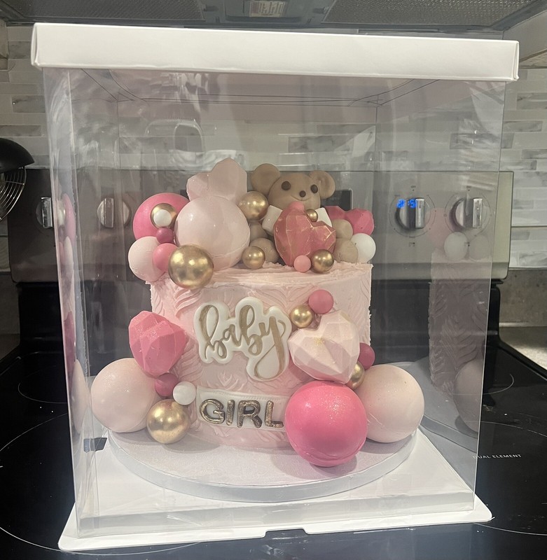 10x10x7 1 Plastic cake box