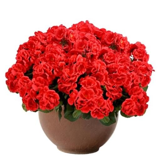 Pcs Artificial Geranium Flowers for Outdoors Fake Silk Faux Geranium Plant UV 3