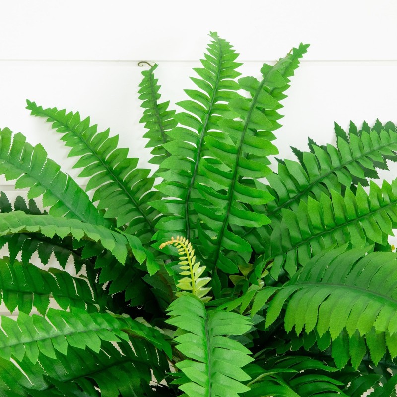 Nearly Natural 32In Boston Fern Set Of 2 - Fern Plants Flexible gallery