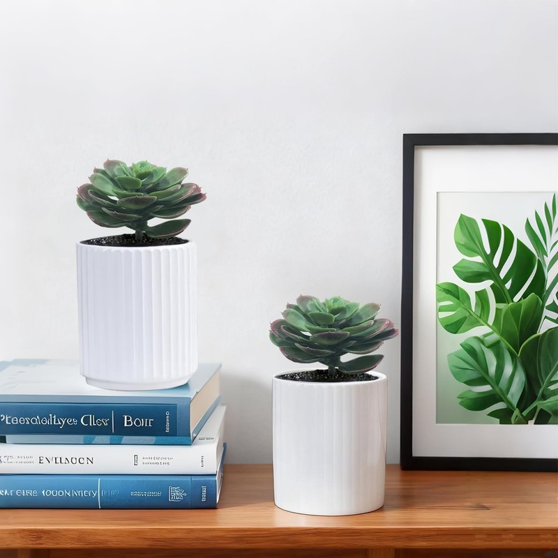 Gcrdplat 2Pcs Artificial Succulent 5 inches x 5 x 6.3 inches, Autumn gallery