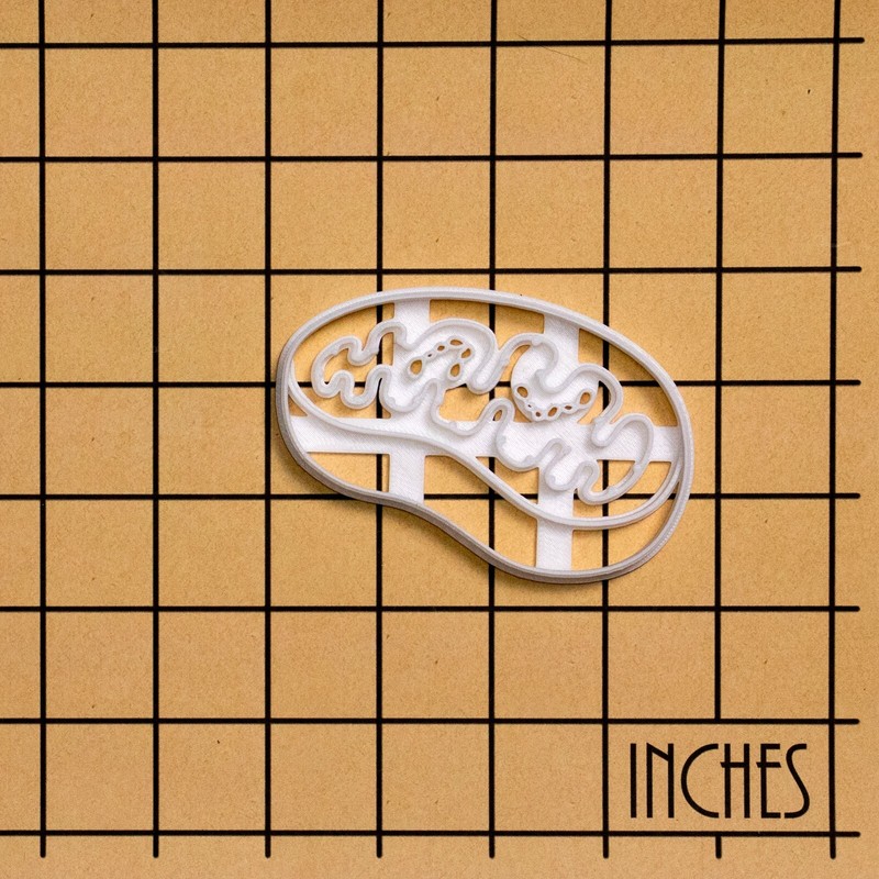 Mitochondria Cookie Cutter - microbiology powerhouse cell cycle science medicine gallery