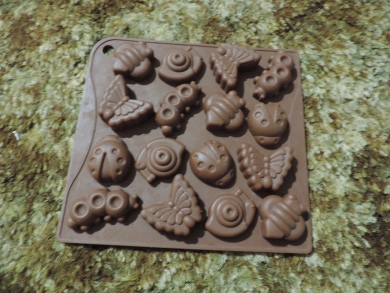 bugs candy/chocolate mold