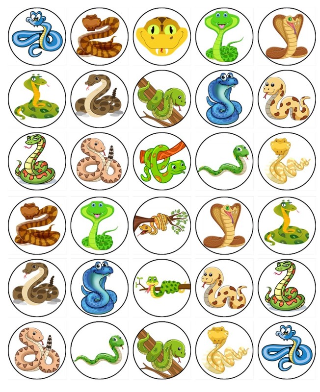 Snake Edible Cake & Cupcake Toppers - Icing - Reptile Theme Birthday Decorations gallery
