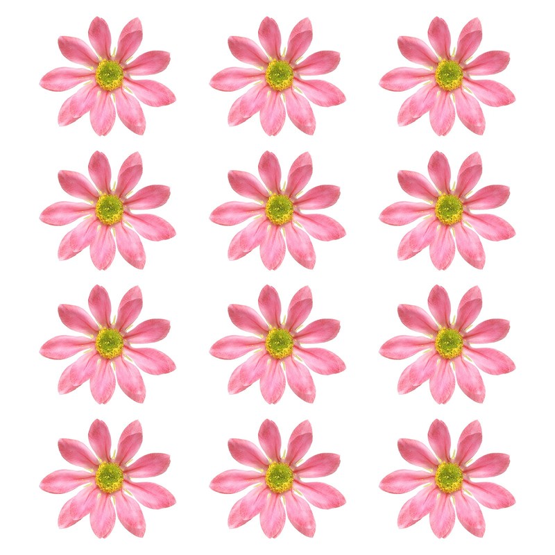 12 Pcs Artificial Daisies Flower Heads, Fake Chrysanthemum Heads, Pink