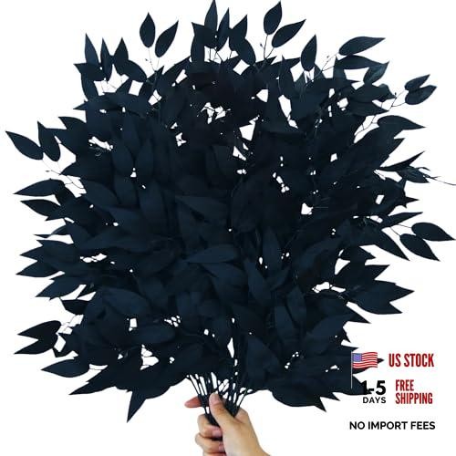 Pack Artificial Black Italian Ruscus Stems 6 Black – Italian Ruscus Stems