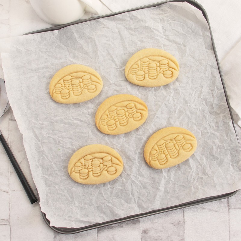 Chloroplast Cookie Cutter - microbiology plant cell phytology photosynthesis gallery