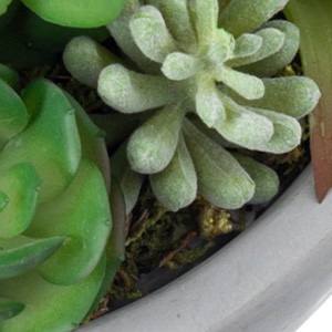 My 8 Inch Round Modern Artificial Succulent Arranment Potted in Gray gallery
