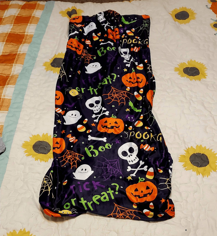 NWOT HALLOWEEN PILLOW COVERS